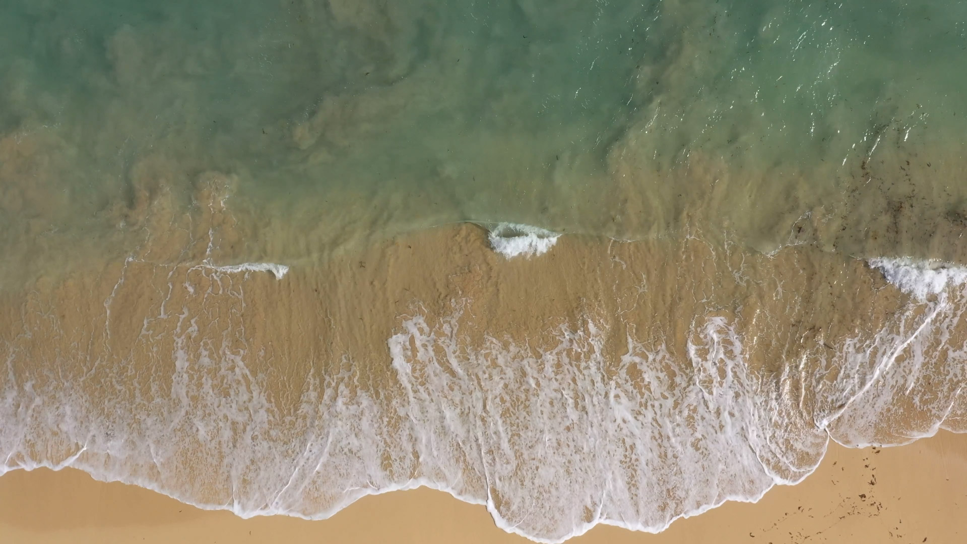 台灣包車 帶駕旅遊玩寶島